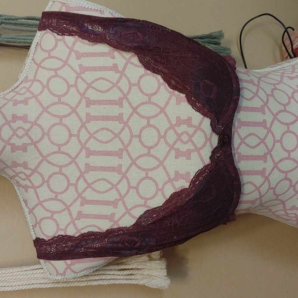 Lace v-cut bra